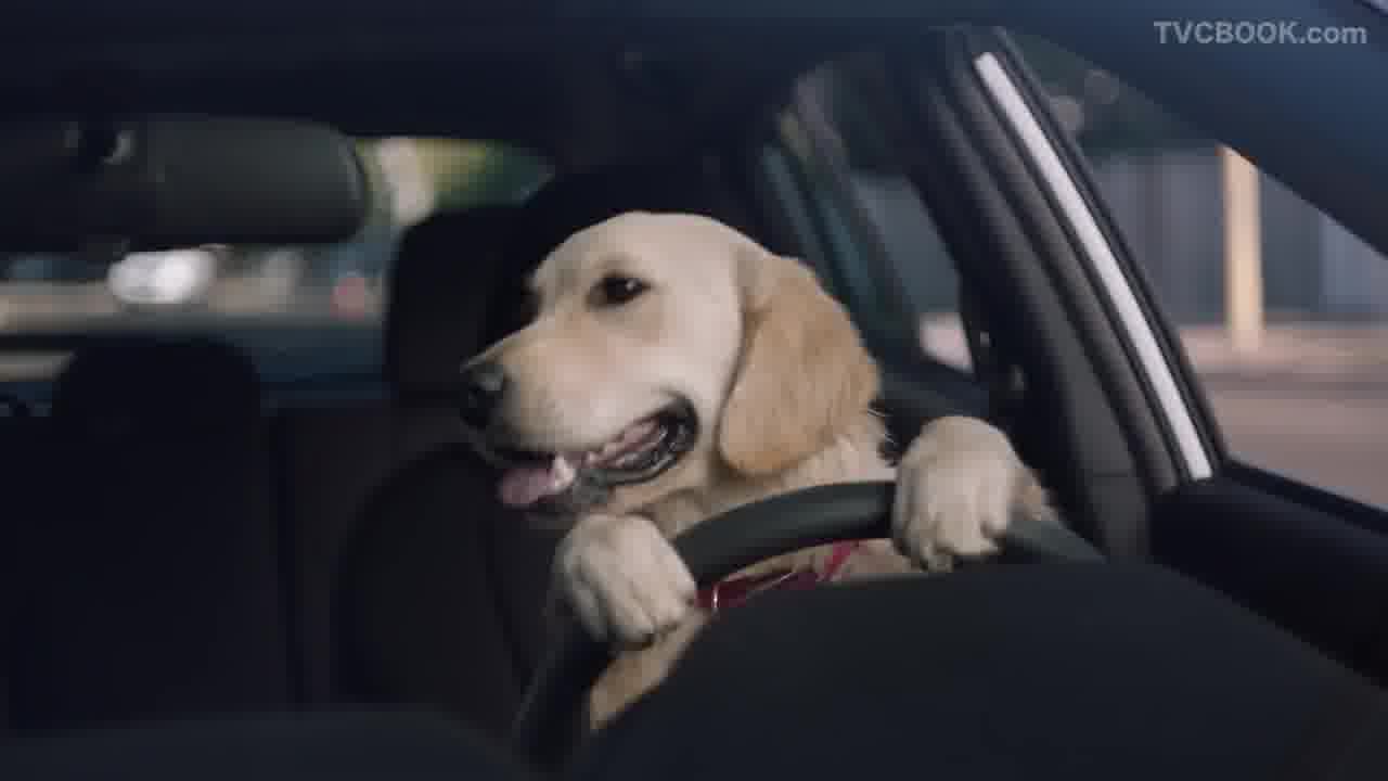 Subaru Dog Tested I Subaru Commercial I Driving Lesson