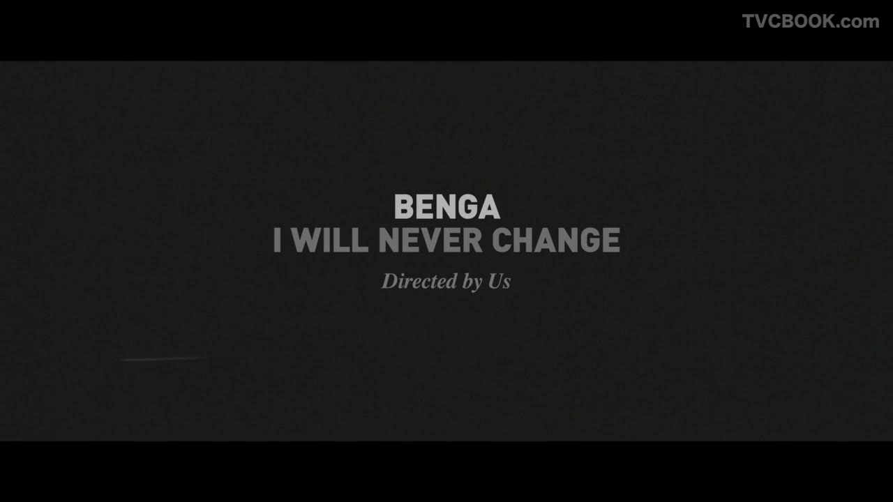 Benga - I Will Never Change