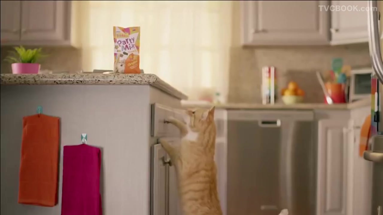 Party Mix™ Crunch Original Cat Treats - Friskies® Commercial