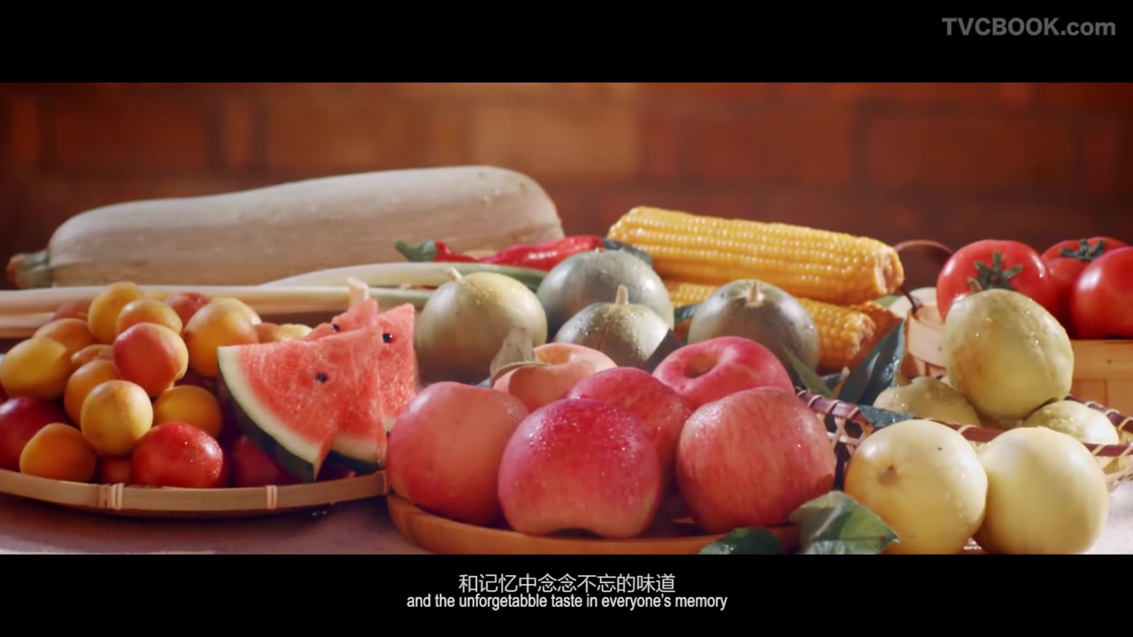 《环乡人》环县农产品区域公用品牌形象片