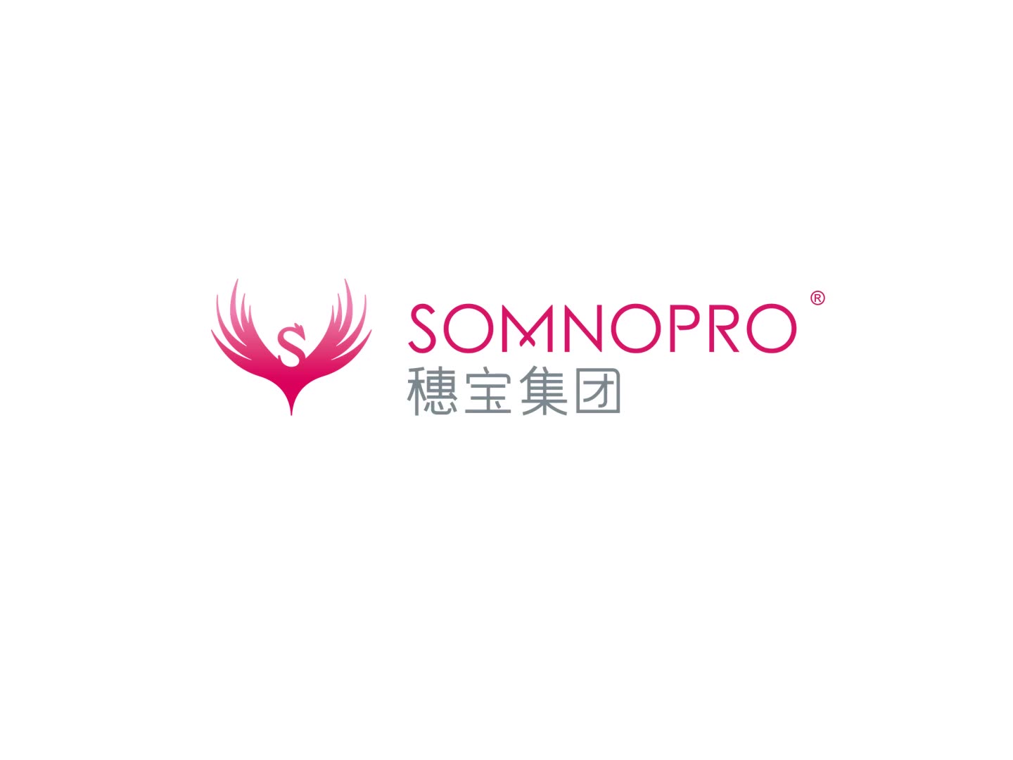 45 Years Anniversary of Somnopro Group
