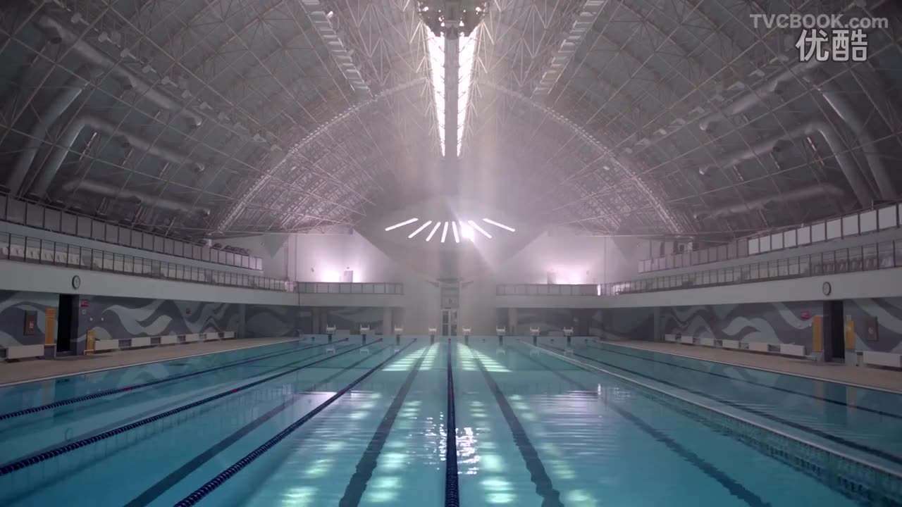 水下摄影 《海底总动员2》中国宣传片 宁泽涛多莉梦想畅游
