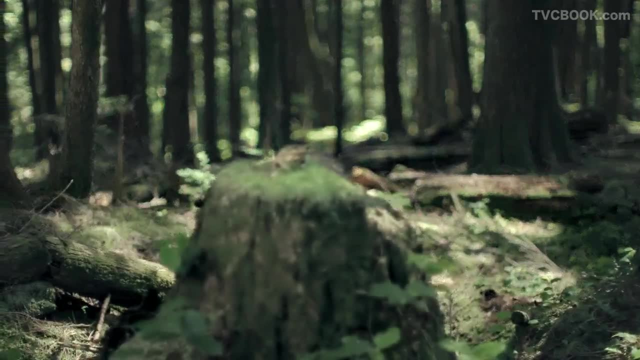 斯巴鲁 SUBARU - 森林动物篇