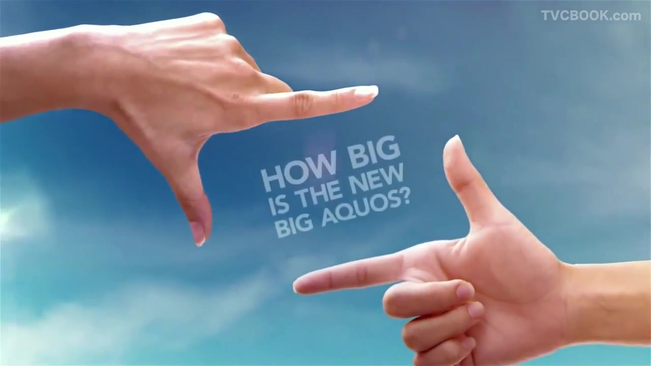 夏普 Sharp - How big is  the big aquos
