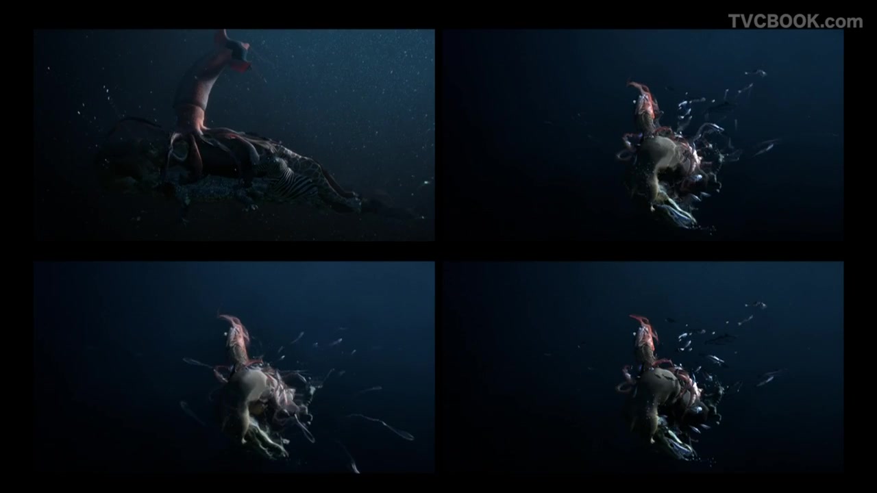 LIFE OF PI Visual Effects Making Of