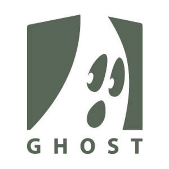 Ghost VFX