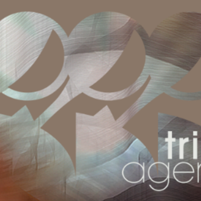 TRINITY AGENCY  HAMBURG