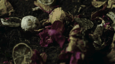 1234.gif