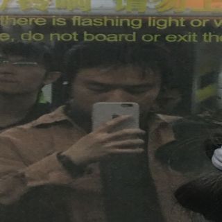 13533829788