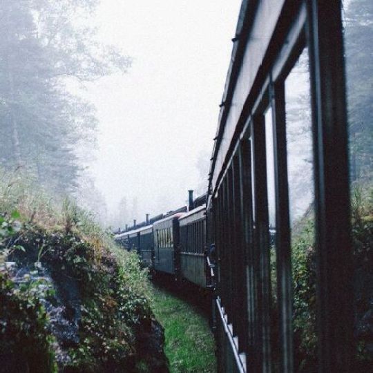 上海颐景文化传播有限公司