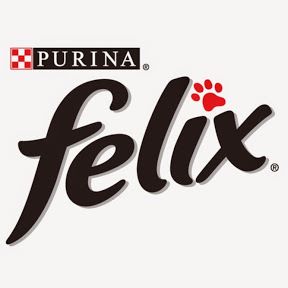purina_felix