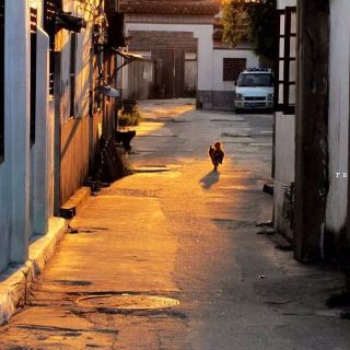 于昆