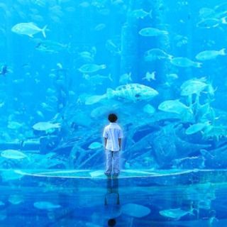 追寻原心
