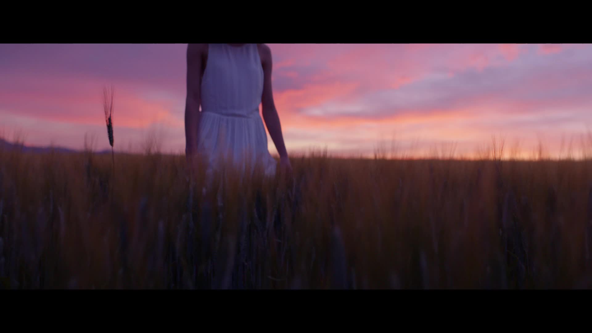 Ad | Occitane - Terre de lumière