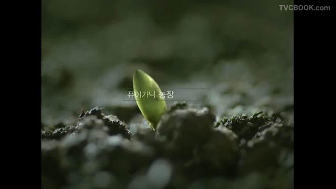 [CF] 보령메디앙스 퓨어가닉 농장편 / 20s. 2009