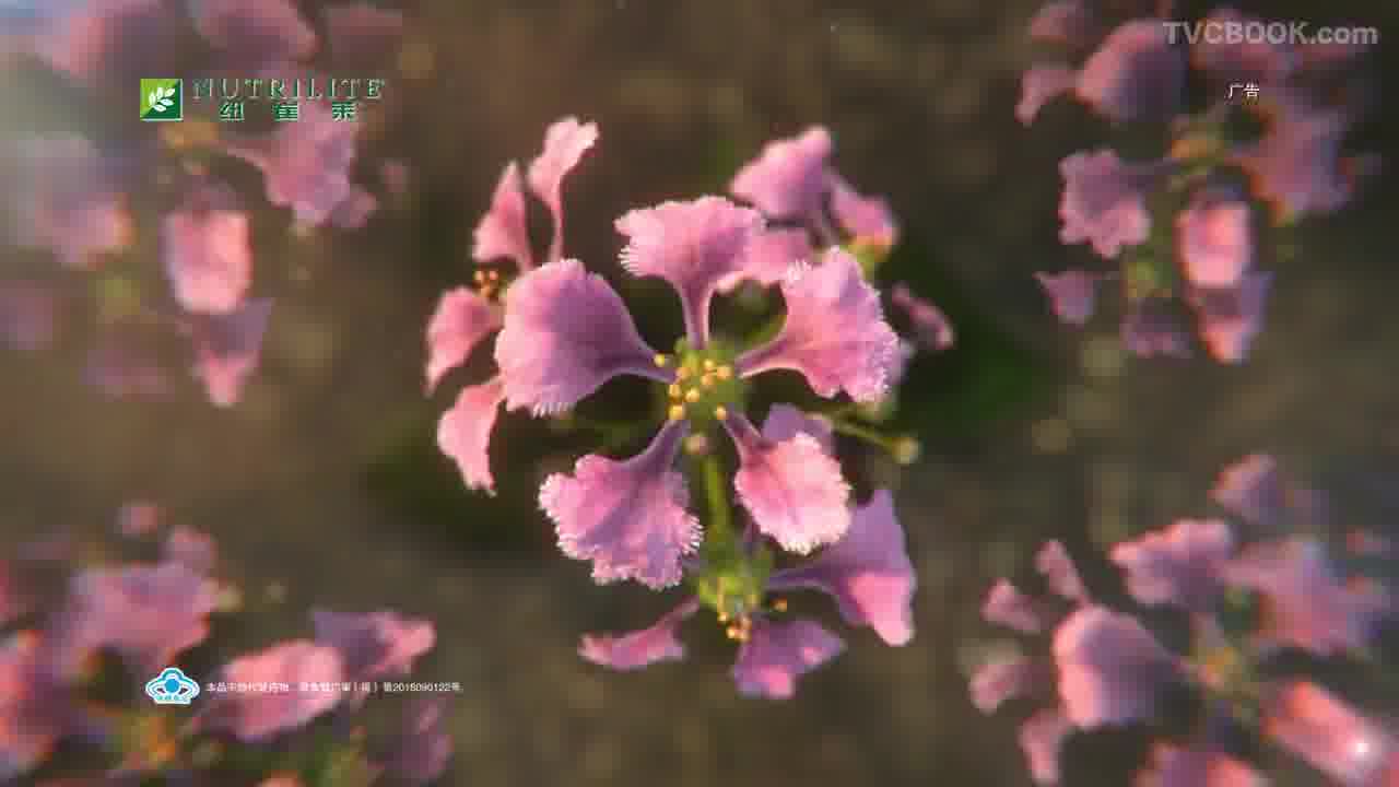 纽崔莱 - 见证自然的力量