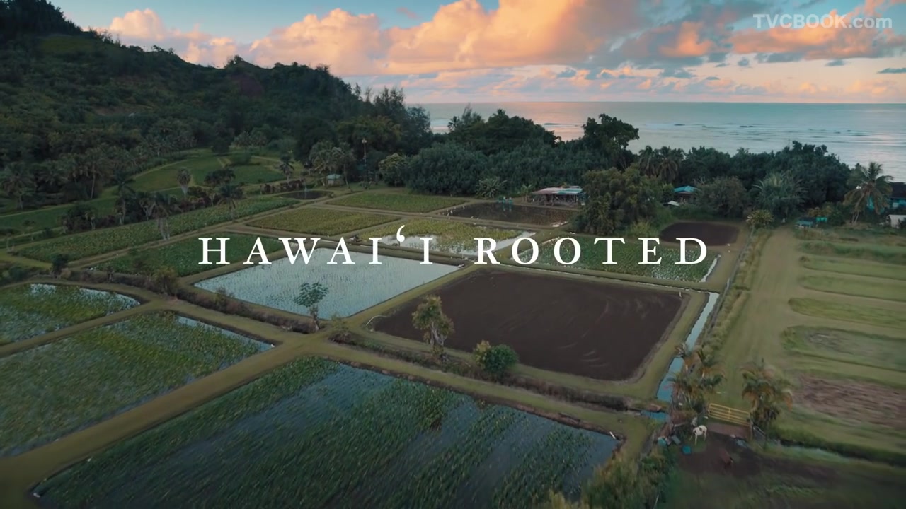 Hawaii Rooted Seeds of Perseverance - Lyndsey Haraguchi-Nakayama, Kauai