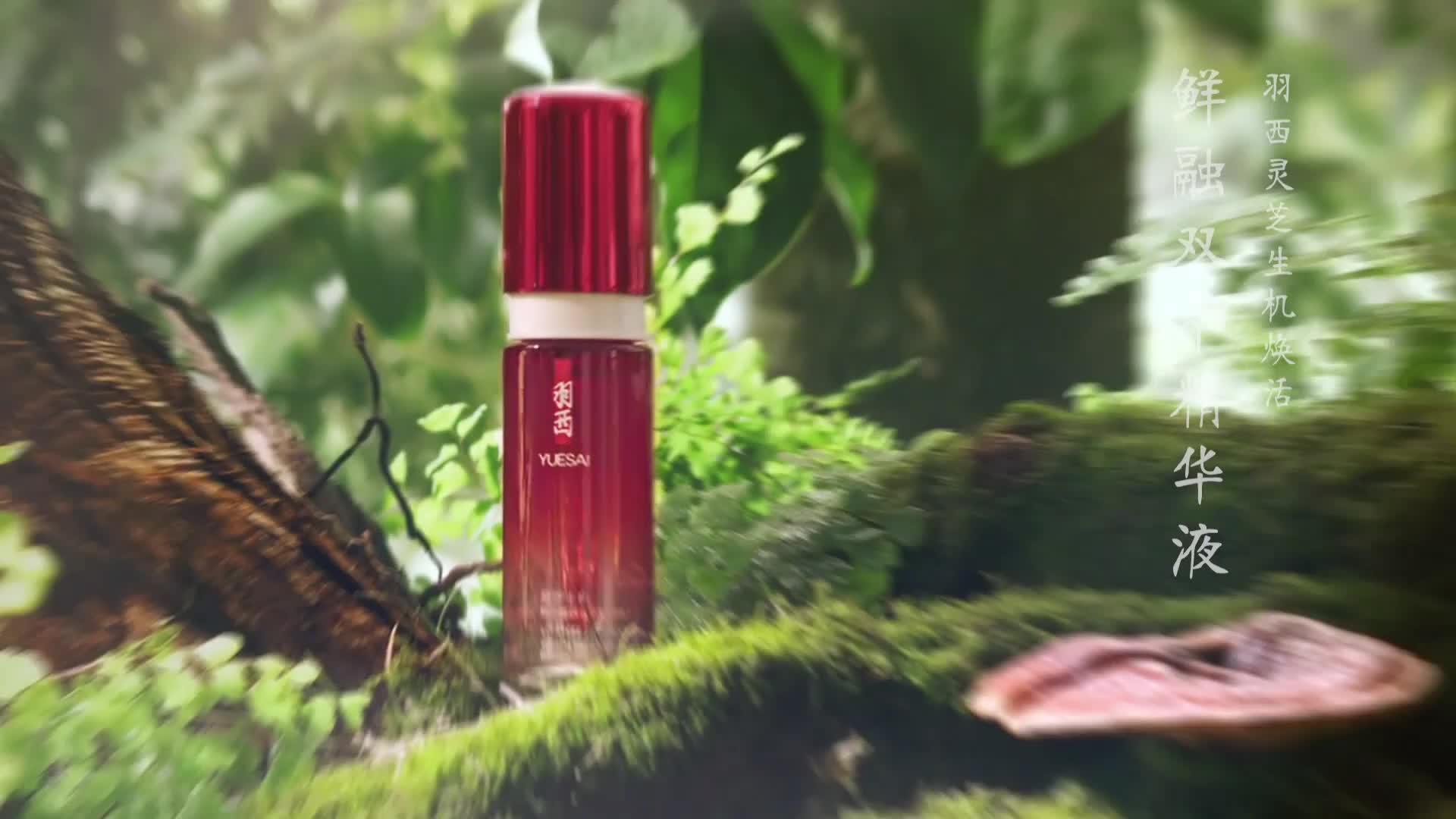 YUESAI // VG Fresh Mix - OTV Concept Video