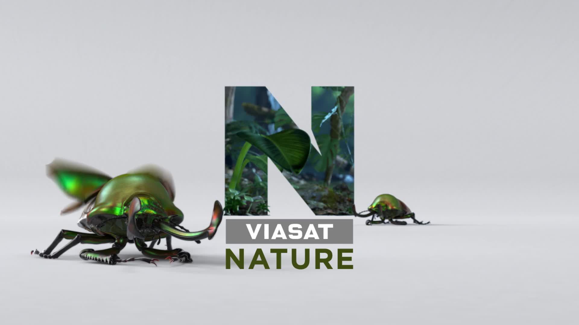 Viasat Nature TVCBOOK