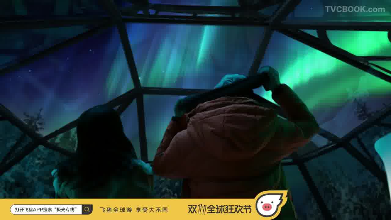 阿里飞猪APP＃芬兰篇