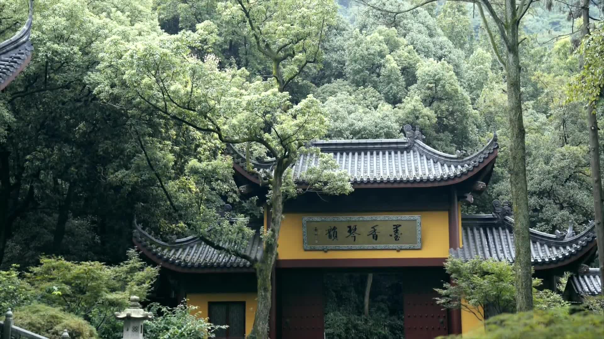 90後和尚講紅樓夢：賈寶玉就是我 A Post-90 Monk Who Reads Dream of the Red Chamber: Jia Baoyu is Me
