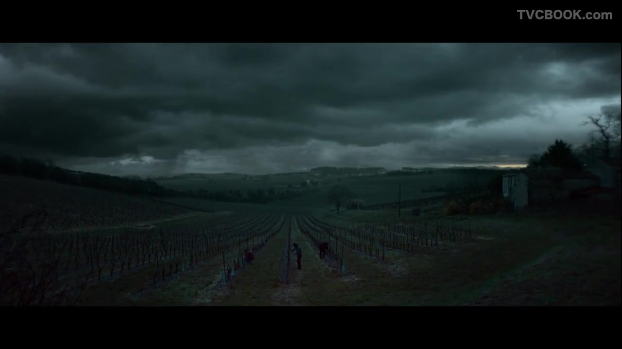 Hennessy V.S.O.P Harmony. Mastered From Chaos - Directors Cut