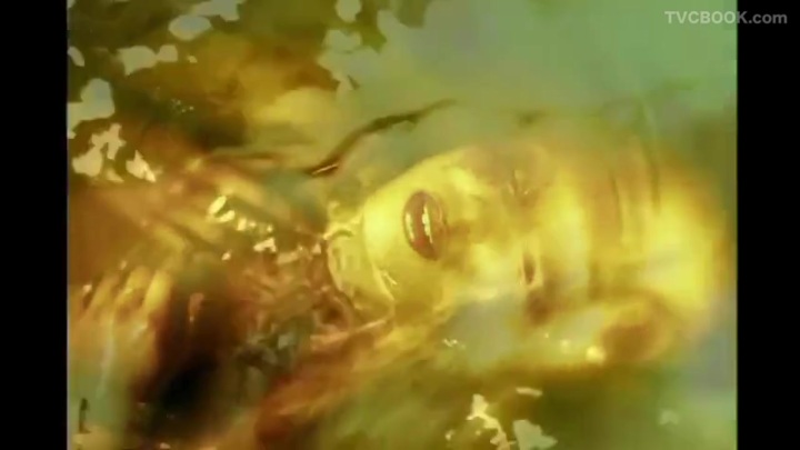 Floria Sigismondi写真集 IMMUNE マリリンマンソン｜Immune - Floria