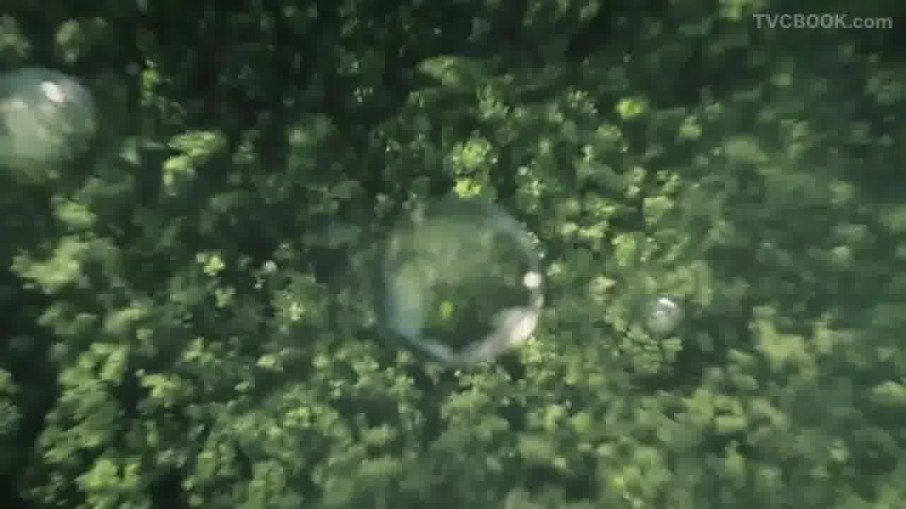 FIJI Water Rise Film （矿泉水广告）