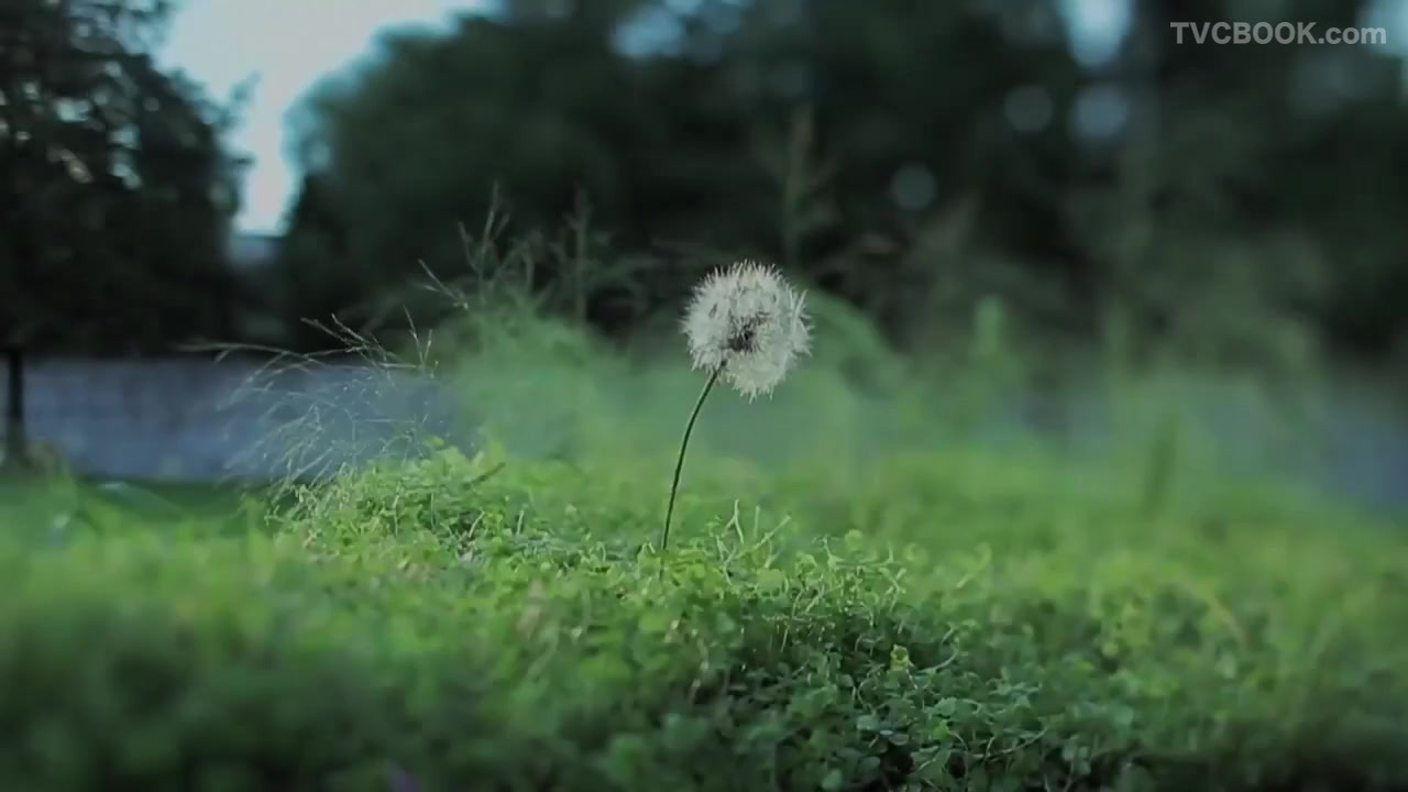 东风日产 Nissan - Pure Drive