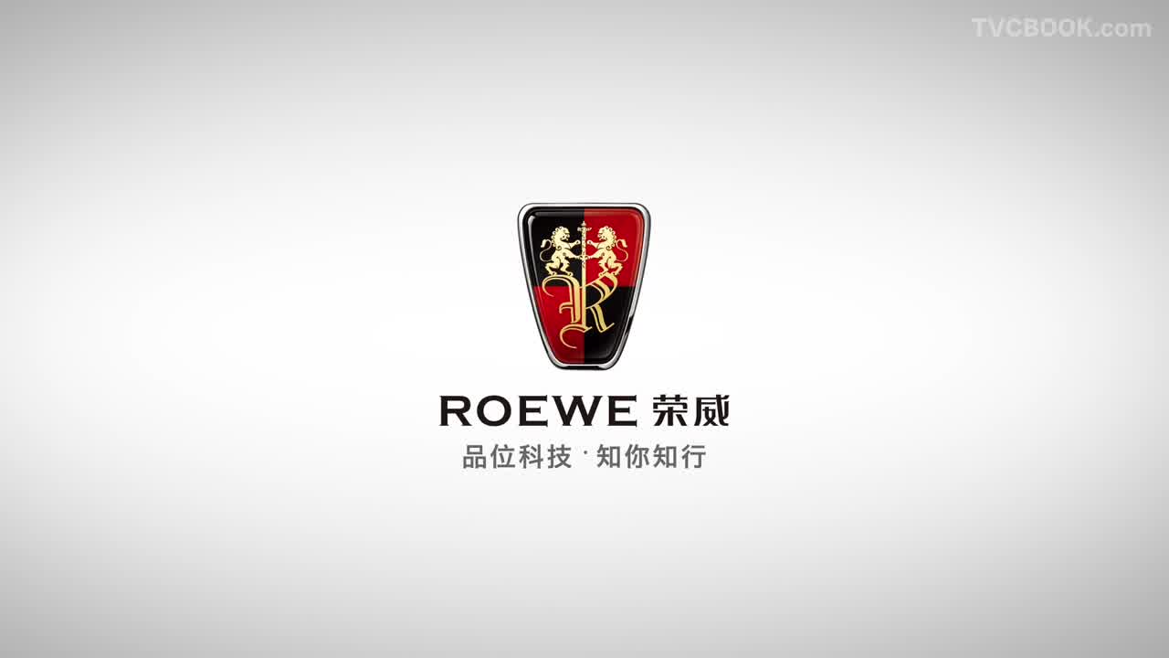 RX5 采访篇.mp4