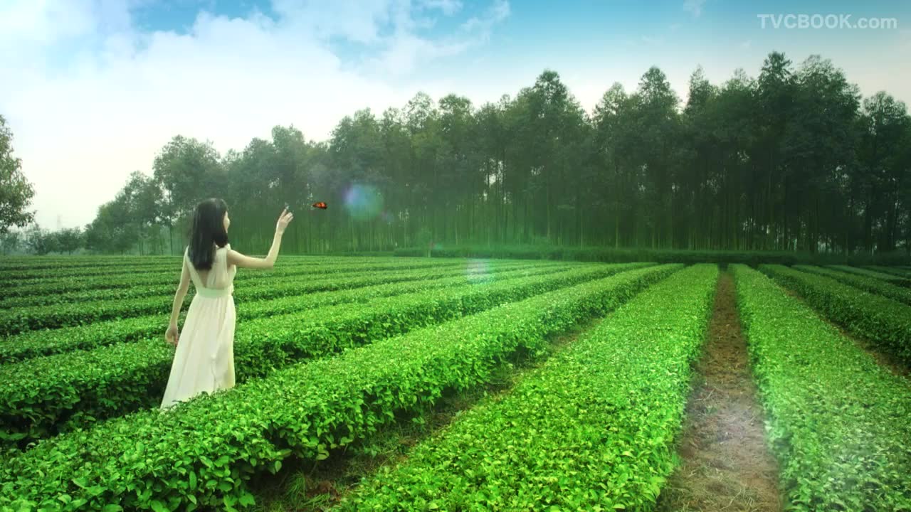 美质原生_15secTVC