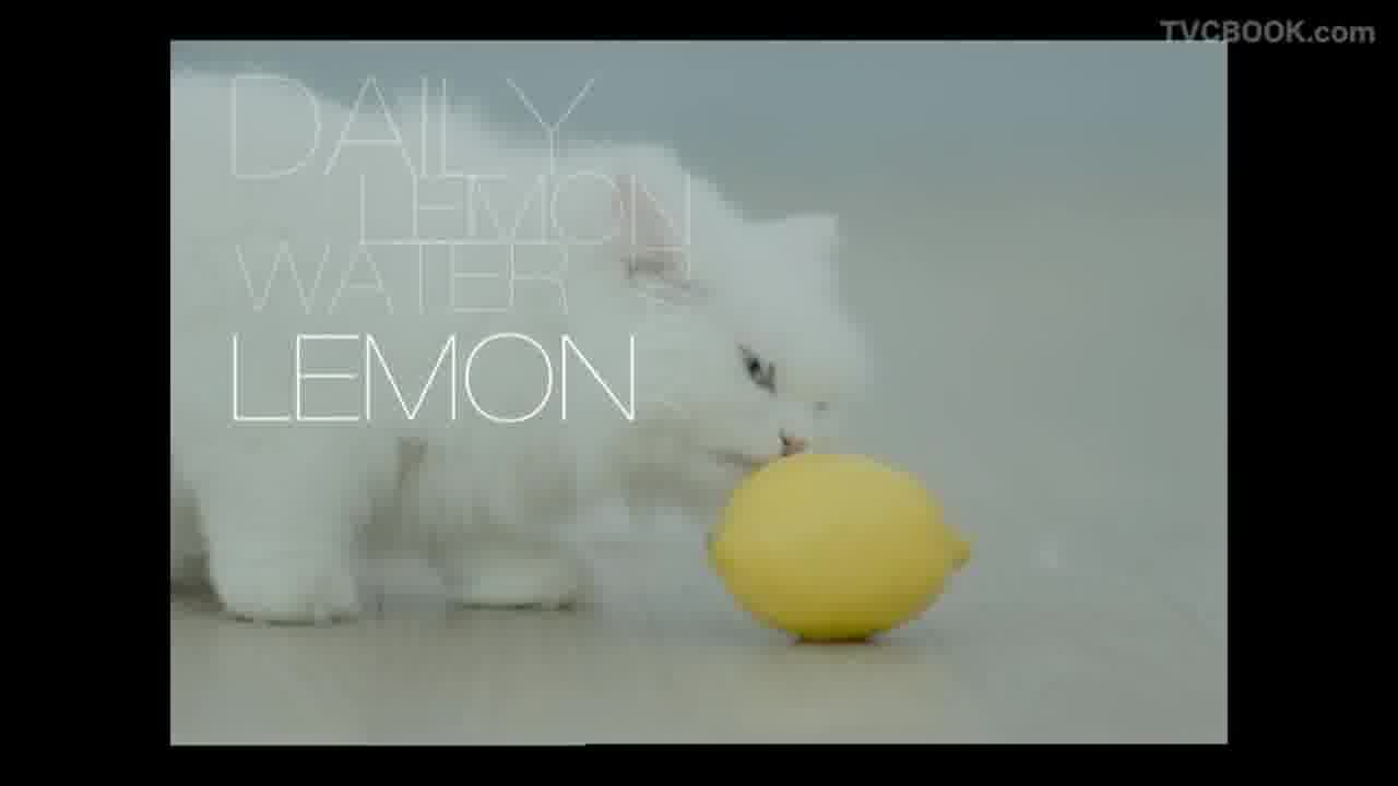 Daily Lemon - 节奏篇