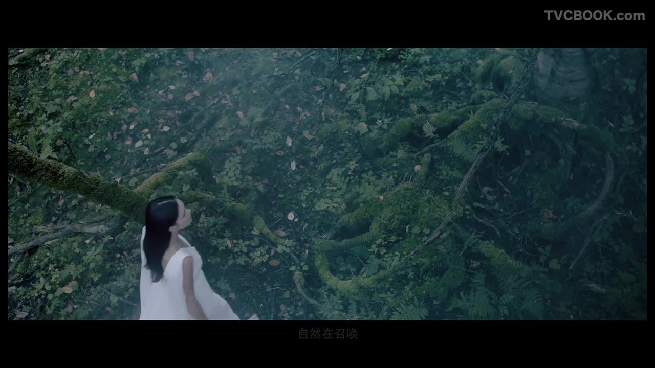 艾芙洛洗发水 - 天然篇——美妆广告