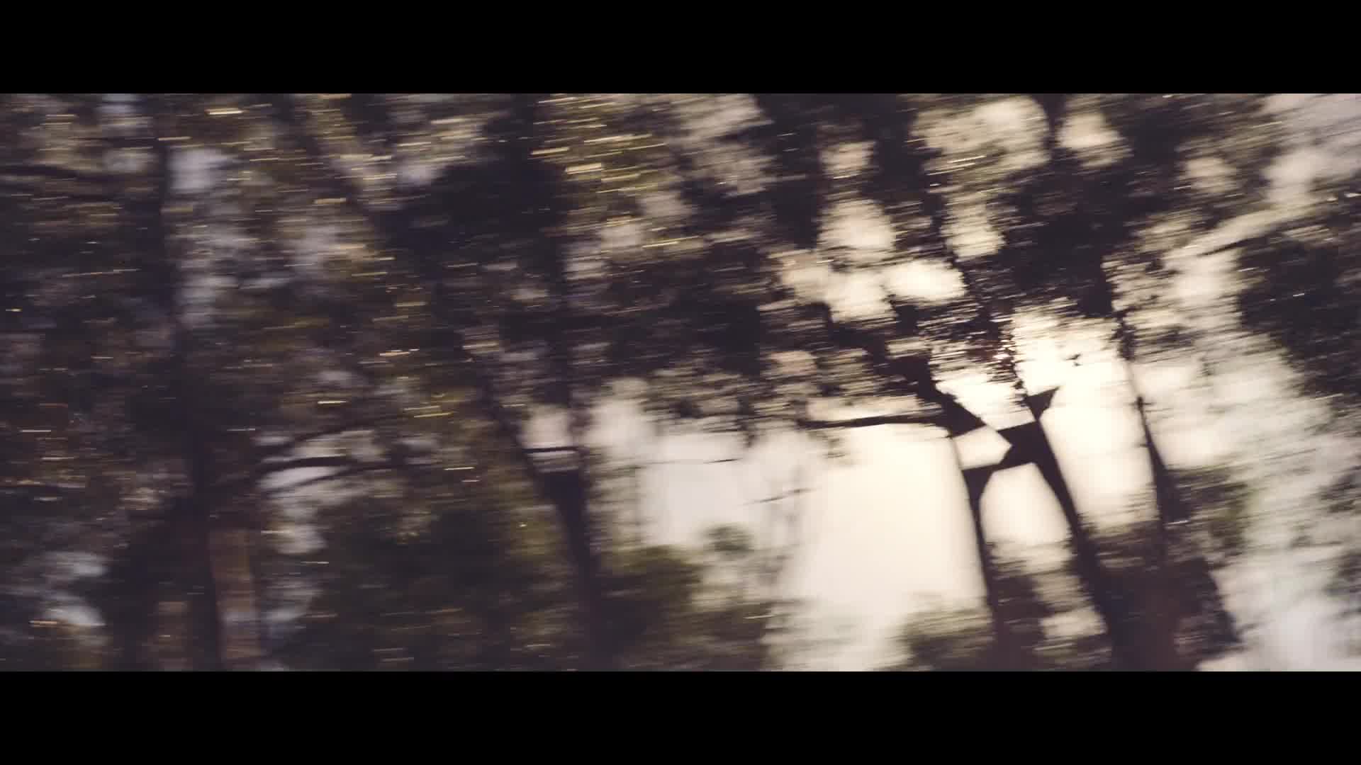 汽车-LEXUS - Senses  震撼视觉 海边冥想