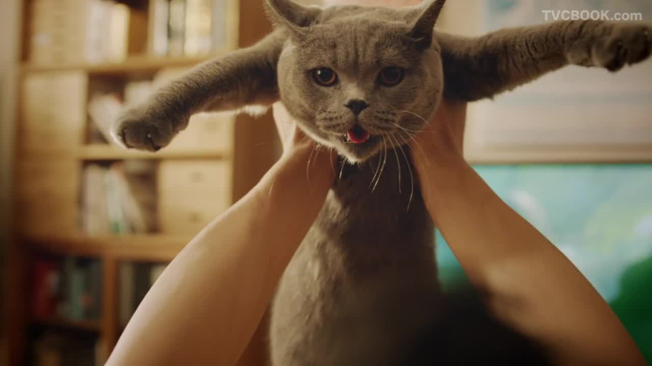 Tmall天猫成都Club