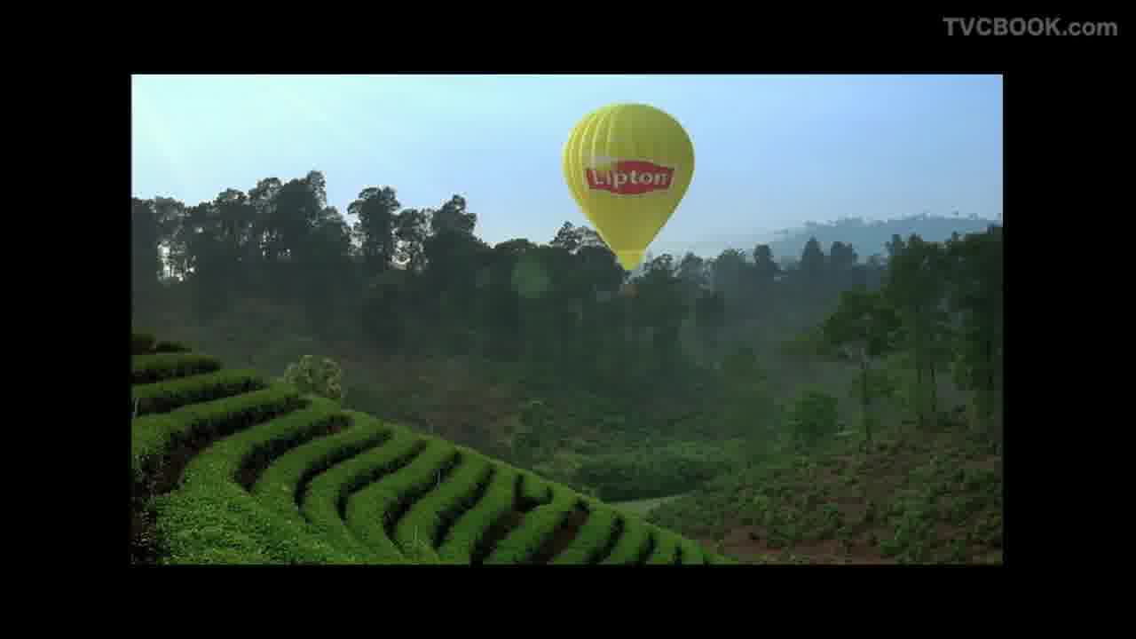 立顿 LIPTON - 2010CM