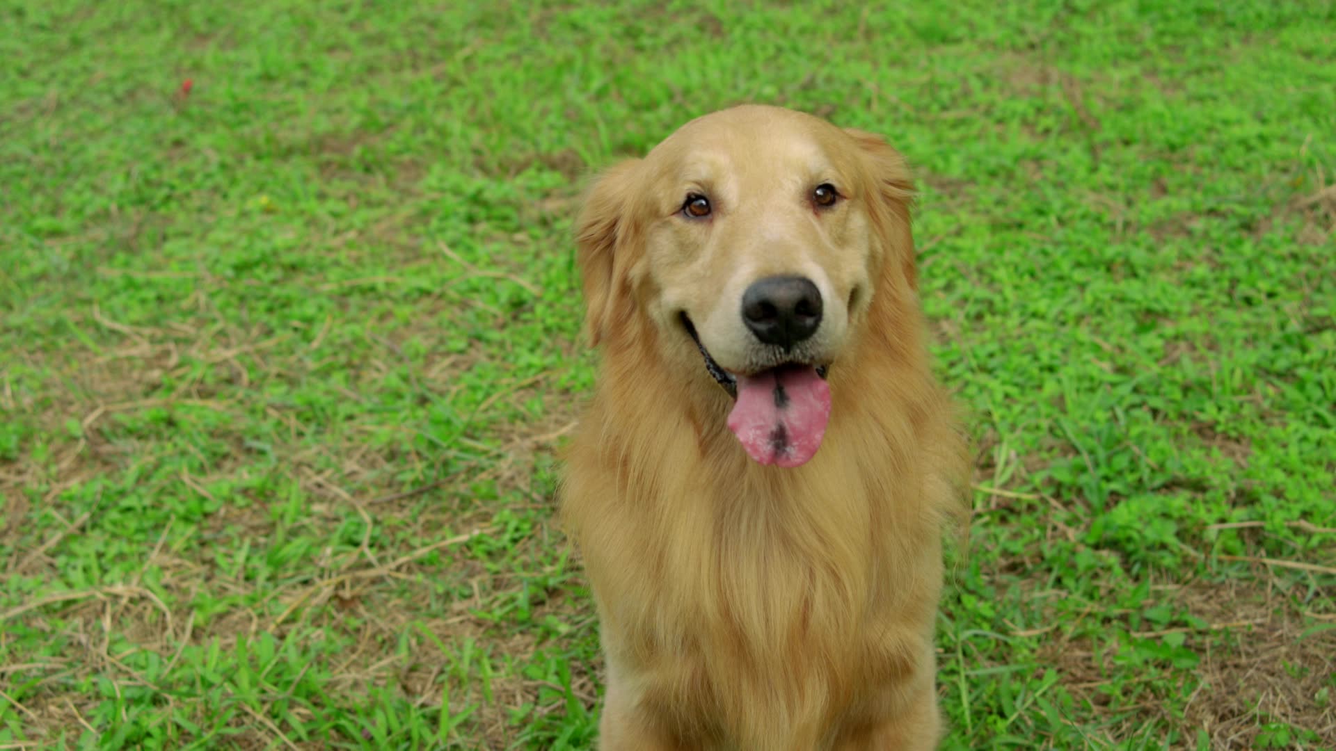 飞宇feiyu tech - 稳定器 - jacky 王勰