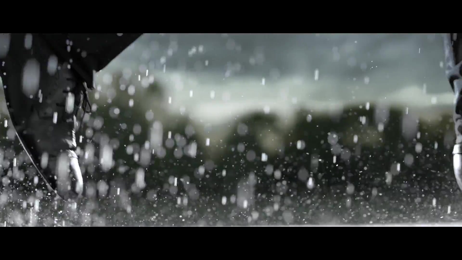 ECOSOL - Field