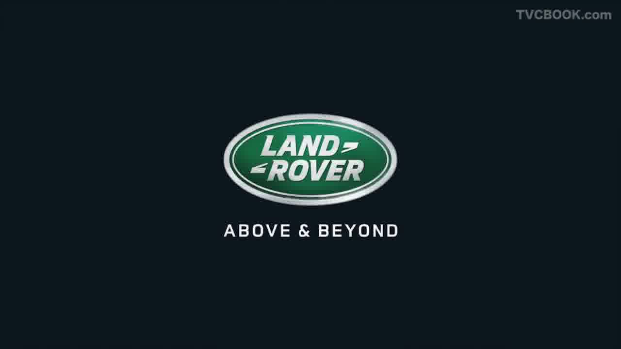 non-genuine animals - croc