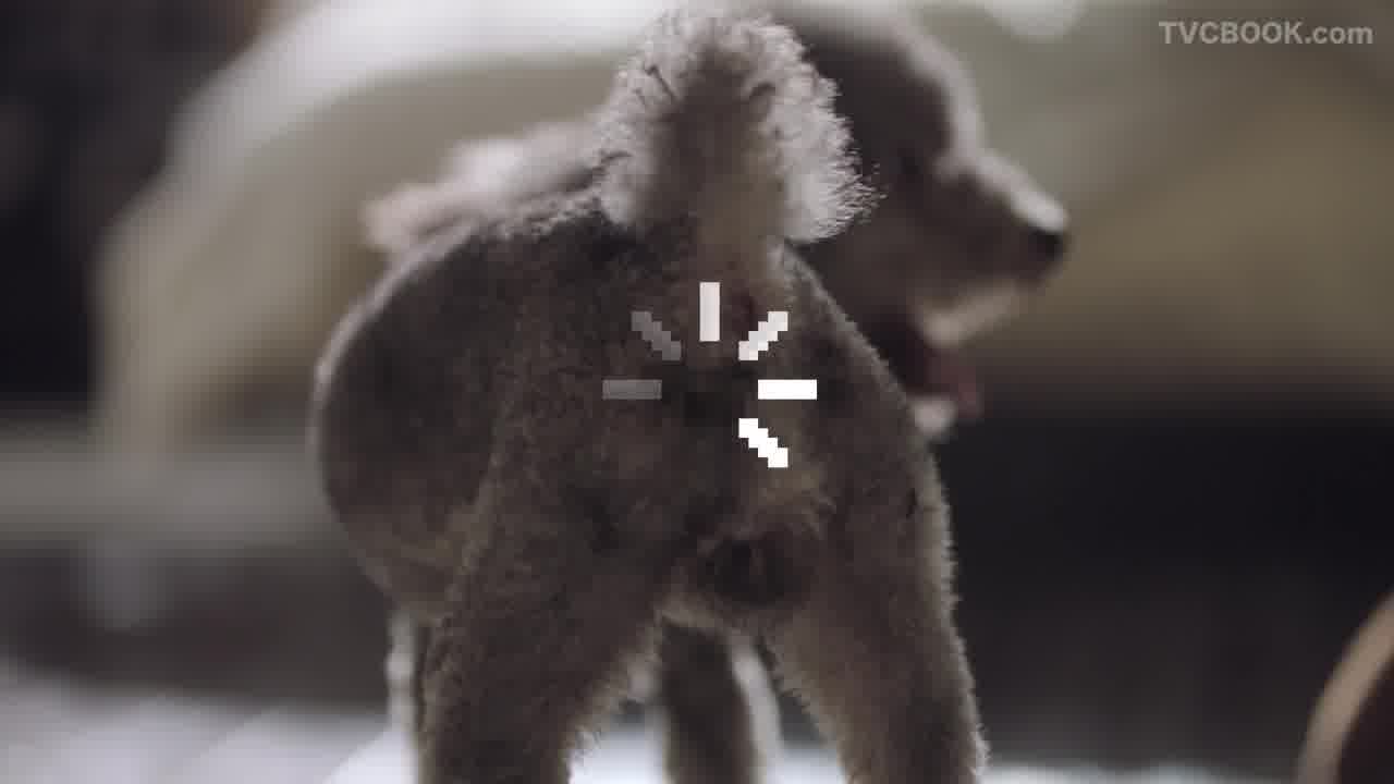 李维斯 Levis - 有码版