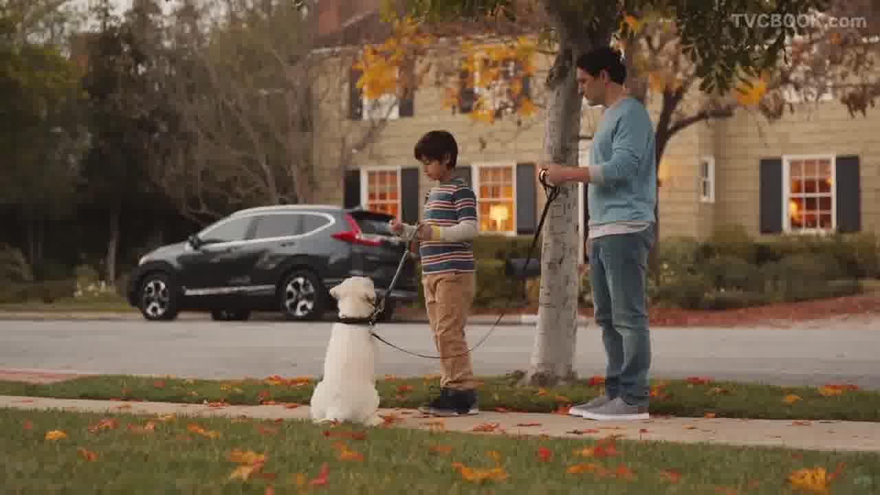 2017 Honda CR-V“Best Friends 60 (Spanish)