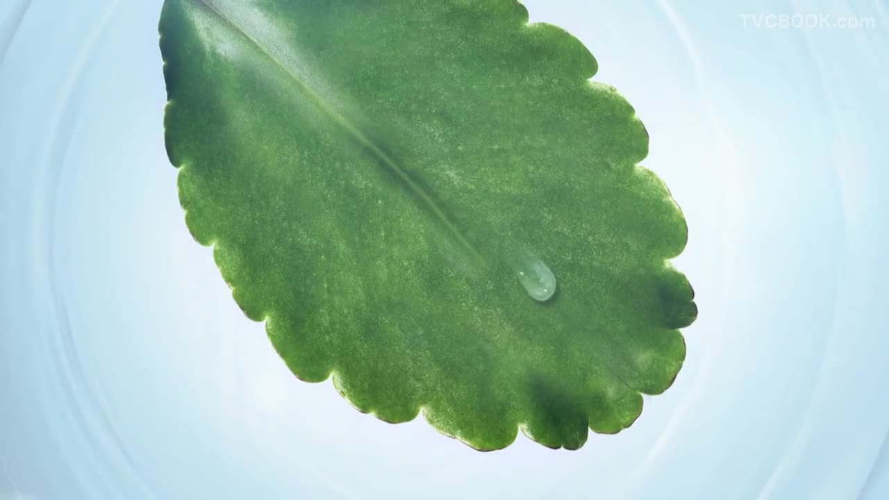 娇韵诗 Clarins