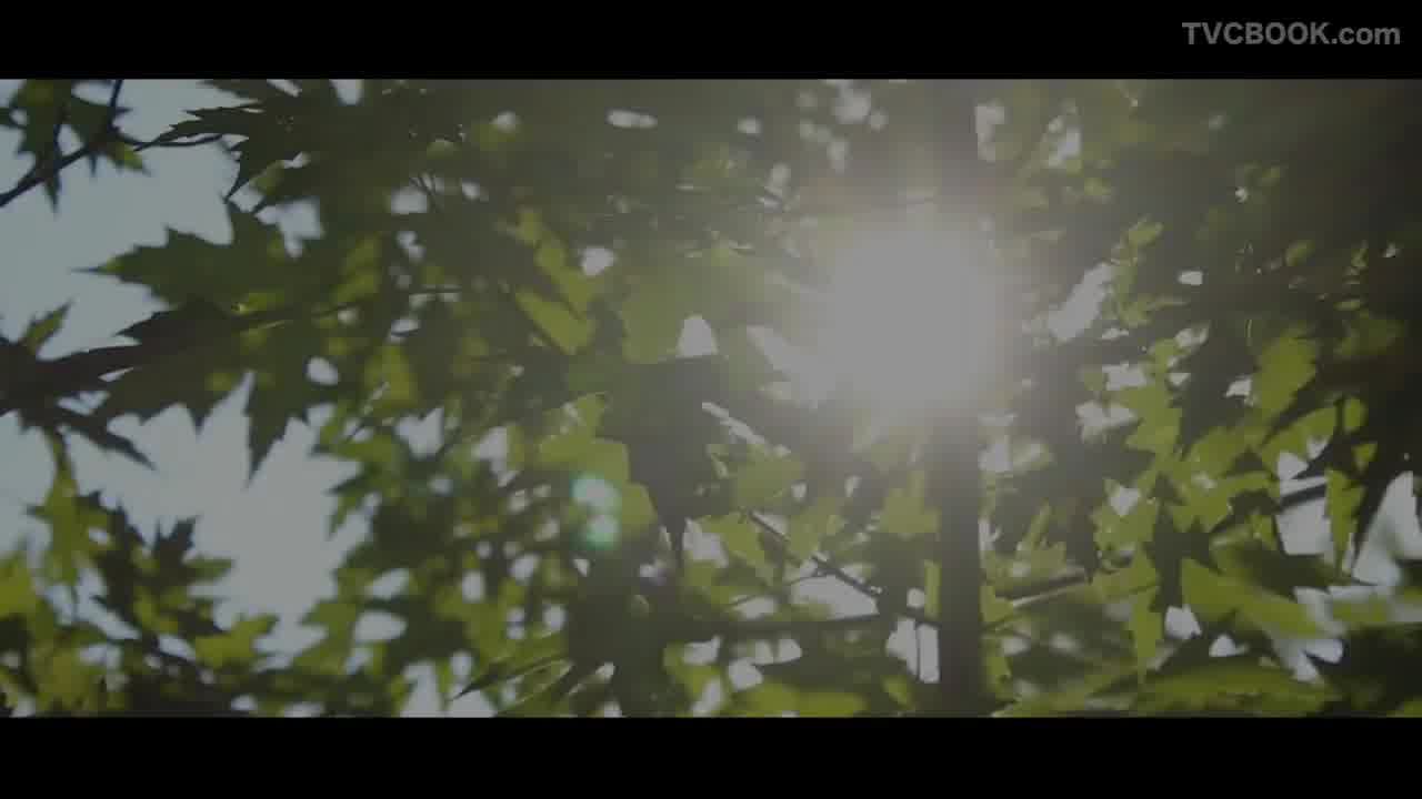 守望者