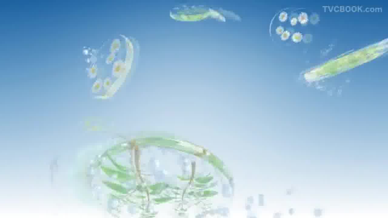 邓老凉茶 - 办公室篇