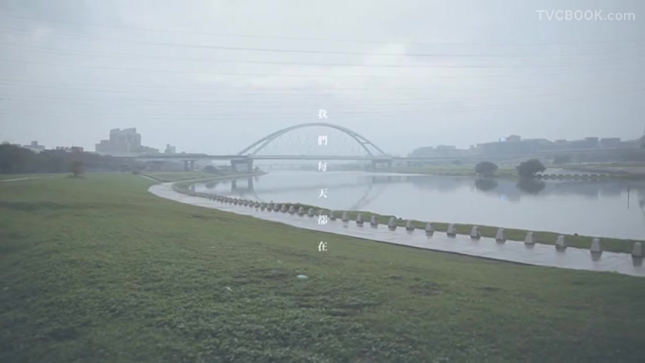 公益广告 - 流浪猫