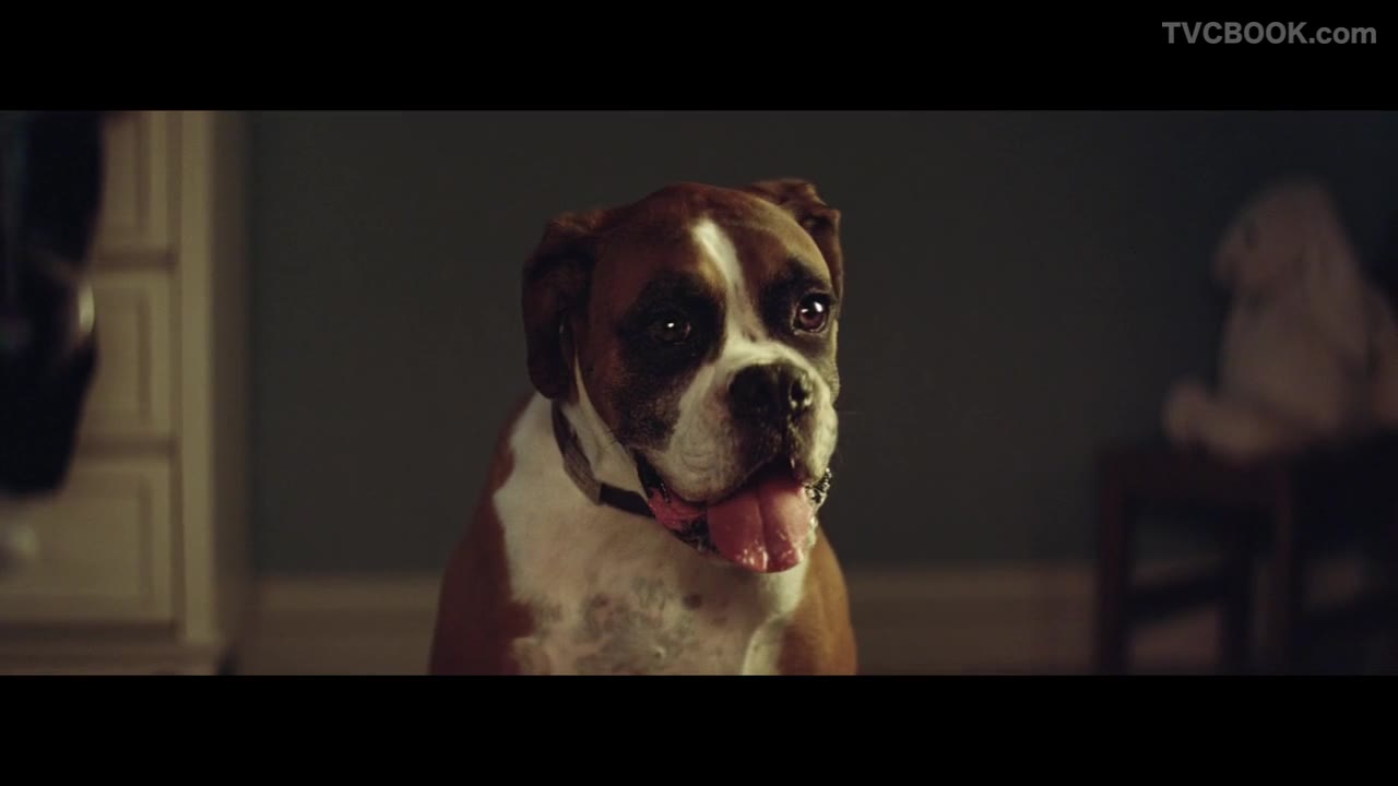 John Lewis 2016 圣诞节广告- Buster the Boxer
