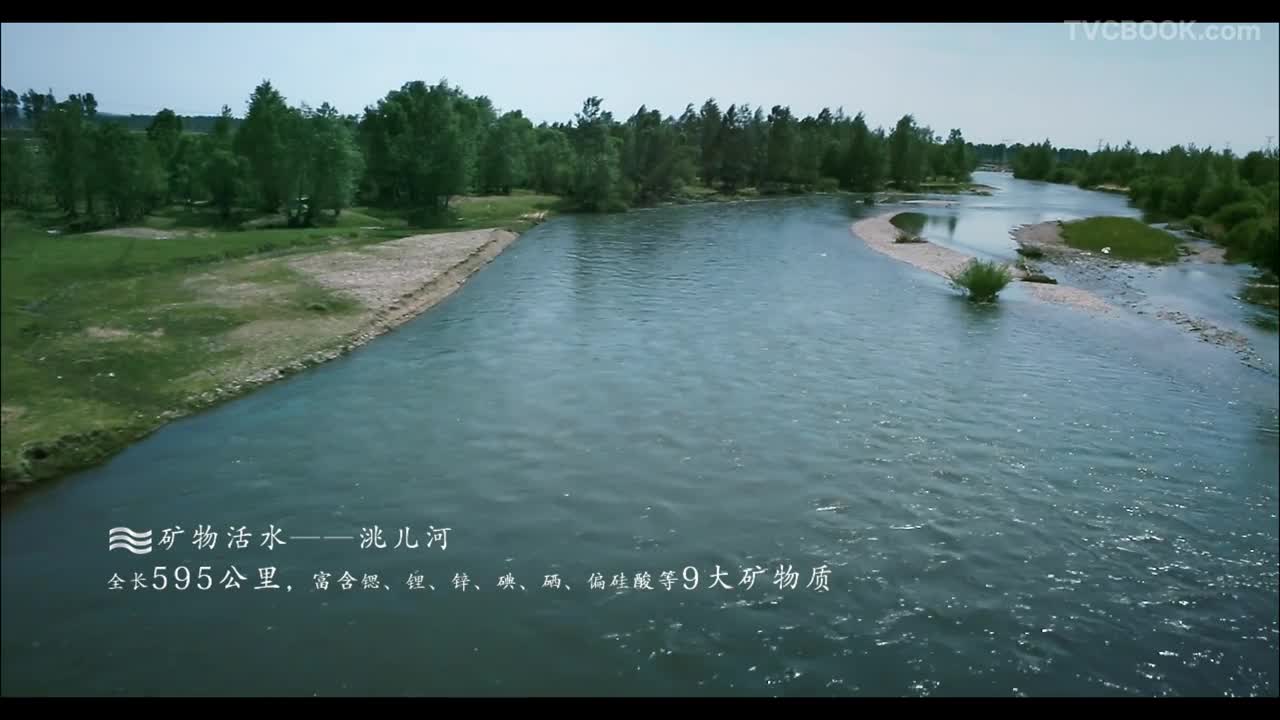 恒大粮油集团纪录片 - 插秧季