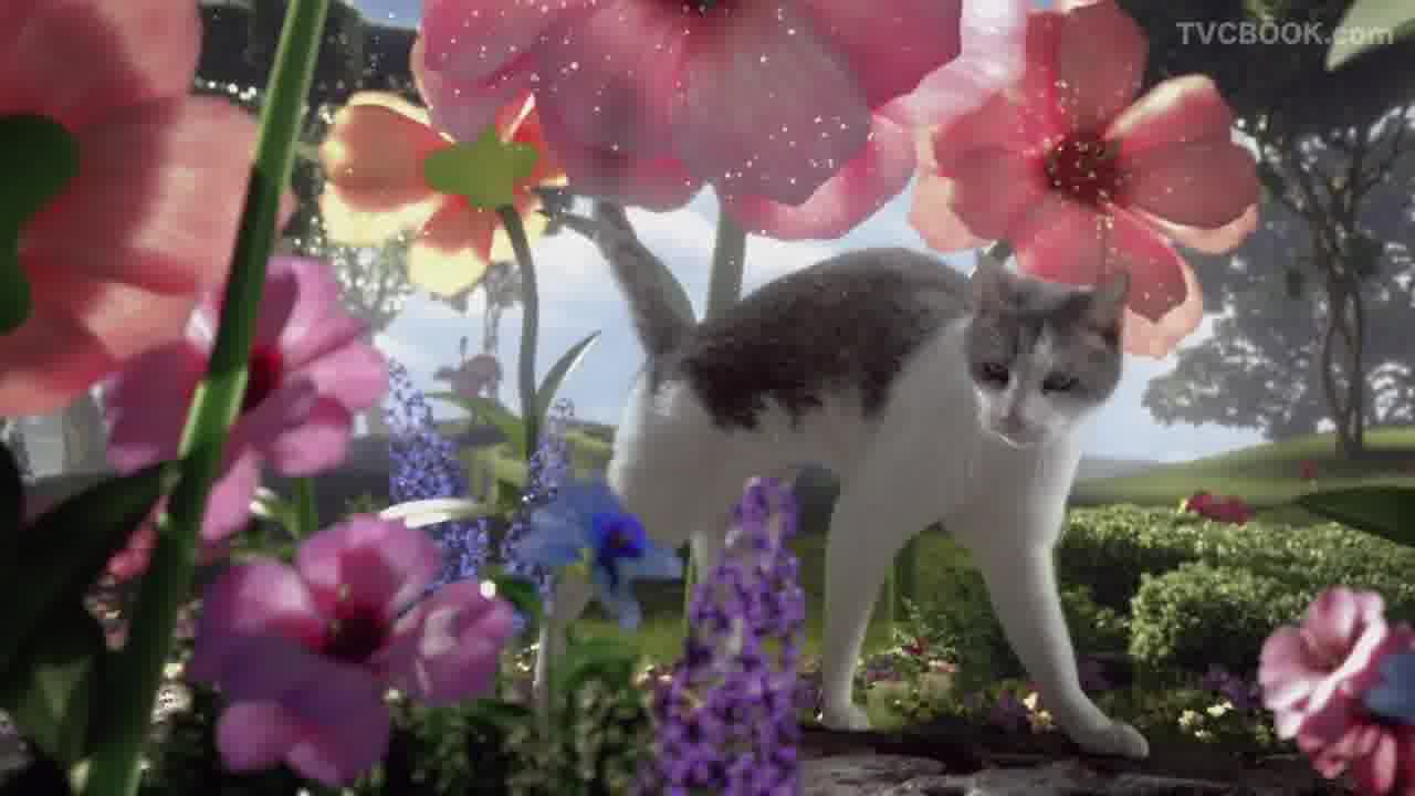 FRISKIES（猫粮品牌） -  Alice（爱丽丝） 