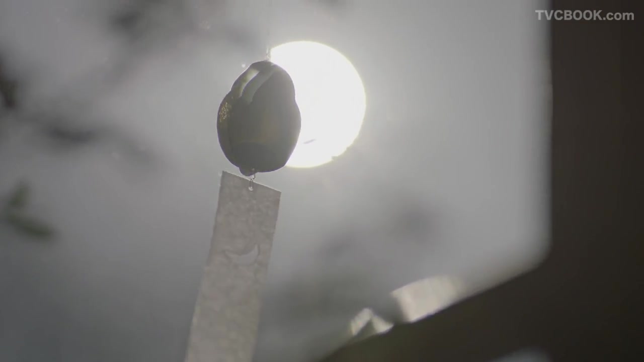 央视公益 - 读书广告 - 赵又廷篇