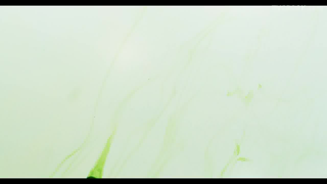 法国伊夫黎雪 Yves Rocher - 护肤品